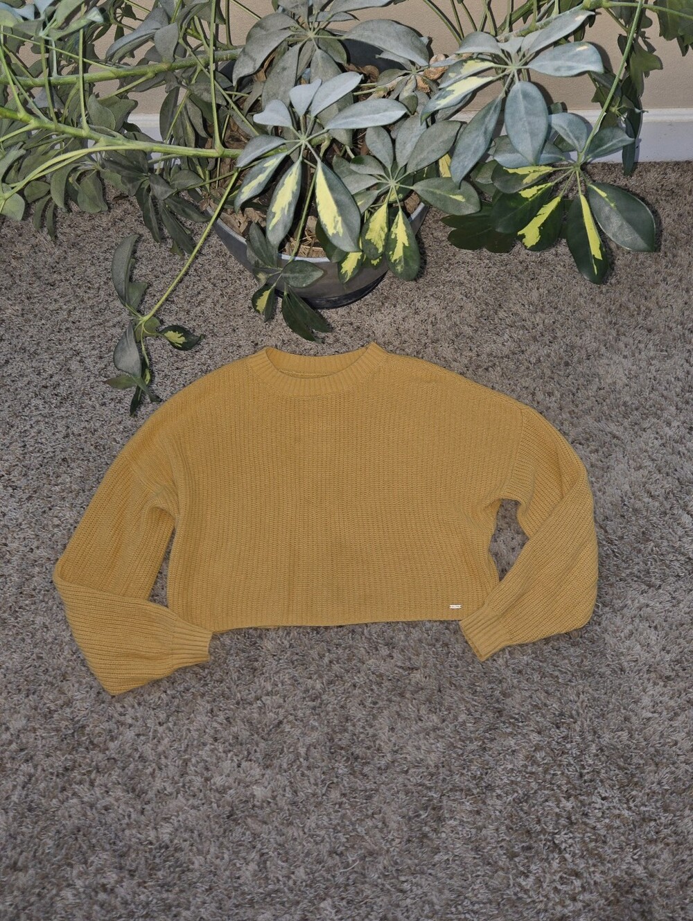 Hollister Cropped Sweater